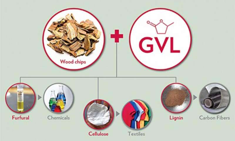 研究人員通過新戰(zhàn)略將80％的生物質(zhì)轉(zhuǎn)化為高價(jià)值產(chǎn)品