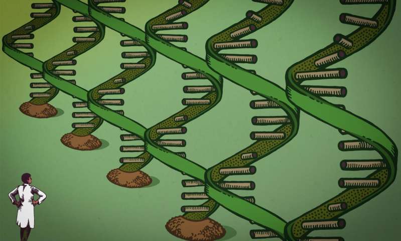 一種新技術(shù)可以幫助研究人員研究微小的生物過程