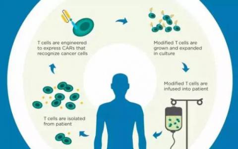 改善針對(duì)實(shí)體瘤的CAR T免疫療法結(jié)果