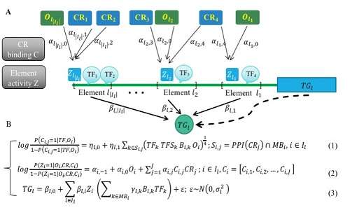 科學(xué)家用染色質(zhì)可及性模擬基因調(diào)控