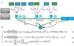 科學(xué)家用染色質(zhì)可及性模擬基因調(diào)控