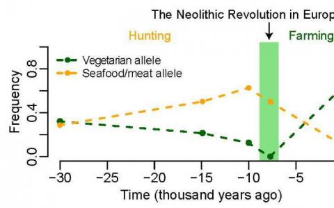 現(xiàn)代歐洲基因可能有利于素食主義