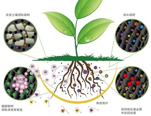 抗生素抗性微生物的歷史可以追溯到4.5億年前遠(yuǎn)在恐龍時(shí)代之前