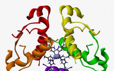 古老的蛋白質(zhì)開始揭示人類的歷史