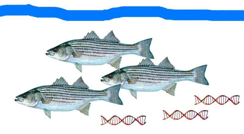 自由浮動(dòng)的eDNA識(shí)別海洋生物的存在和豐富