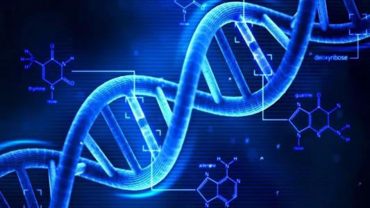 口香糖揭示了最古老的斯堪的納維亞人類DNA