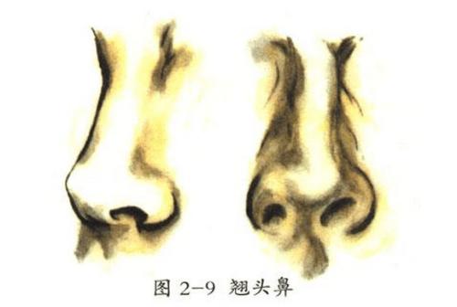 科學(xué)家發(fā)現(xiàn)鼻子形狀與氣候變化之間的關(guān)系