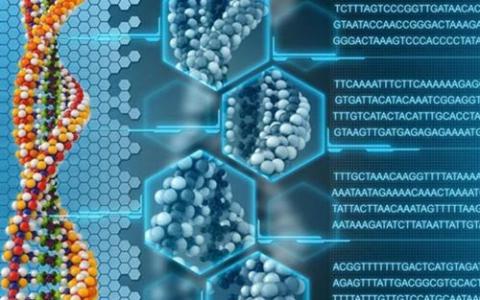 通過分子數(shù)據(jù)存儲 貓視頻可以比我們所有人都長