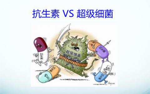 研究人員正在研究一種超級細菌如何適應(yīng)最后抗生素