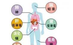 人體有五大保健特區(qū) 分別在背部 脊柱 前胸 腹臍和耳部