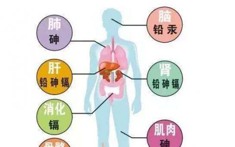 人體有五大保健特區(qū) 分別在背部 脊柱 前胸 腹臍和耳部