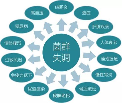 發(fā)表了微生物譜以支持腸道研究領(lǐng)域的發(fā)展