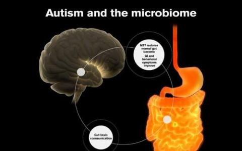 研究為改善糞便微生物群移植提供了線索