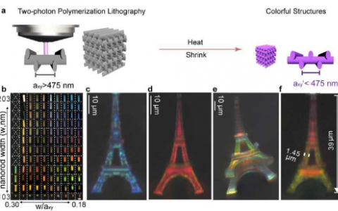 通過收縮光子晶體對3D微尺度物體進(jìn)行結(jié)構(gòu)彩色打印