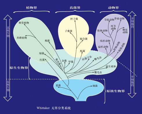 為什么病毒需要重新分類及其對(duì)生物技術(shù)的影響