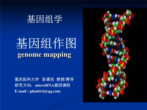 多發(fā)性硬化癥基因組圖譜暗示免疫細(xì)胞對疾病的敏感性