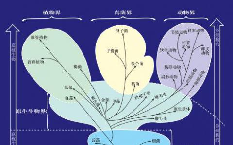 為什么病毒需要重新分類及其對生物技術的影響