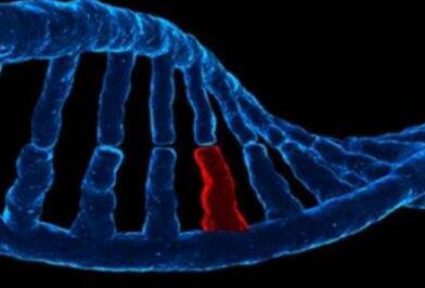 中國(guó)研究人員發(fā)現(xiàn)降低膽固醇水平的基因變異