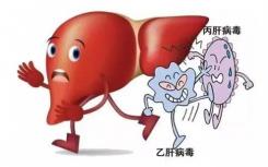 在動(dòng)物研究中 新藥物顯示出抗肝纖維化的希望