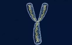 基因科學家完成了穴居人Y染色體的首次分析
