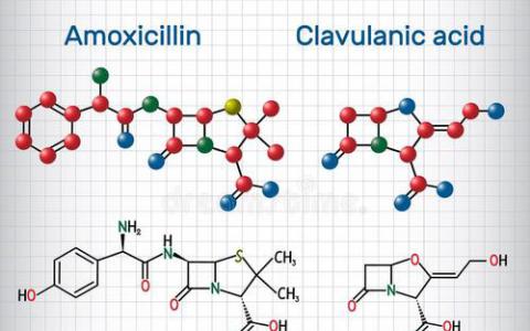 對酸敏感的分子變化有助于大流行性流感的出現(xiàn)