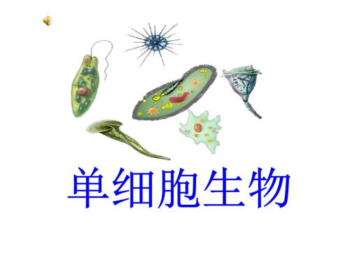 這是一本廣受歡迎的出版物適用于進(jìn)行細(xì)胞生物學(xué)測(cè)定作為研究工作的眾多科學(xué)家