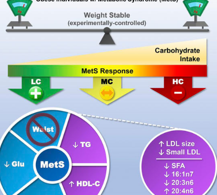 低碳水化合物飲食使代謝綜合征患者受益 而與減肥無關(guān)