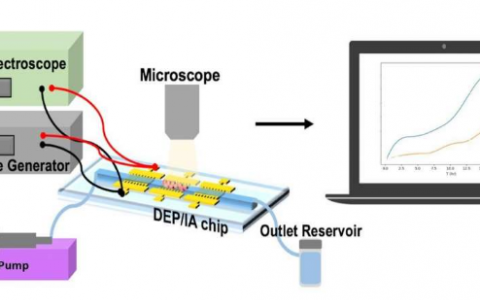 研究人員開發(fā)了 芯片實驗室 用于個性化藥物功效監(jiān)測