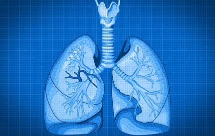 利用肺部細(xì)胞藍(lán)圖 研究人員期待器官再生