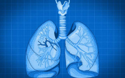 利用肺部細(xì)胞藍(lán)圖 研究人員期待器官再生