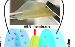 受骨骼和軟骨啟發(fā)的膜可從鹽水中高效發(fā)電