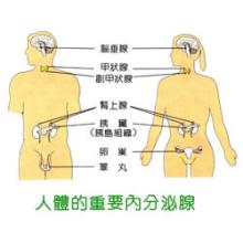 當(dāng)存在如此多的細(xì)菌以至于它們分泌導(dǎo)致疾病的物質(zhì)稱為毒力因子時