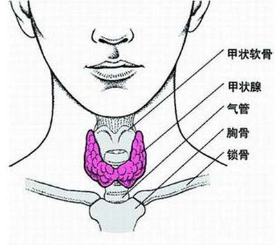 妊娠期甲狀腺功能減退的研究保證