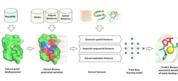 使用深度學(xué)習(xí)預(yù)測與疾病相關(guān)的突變