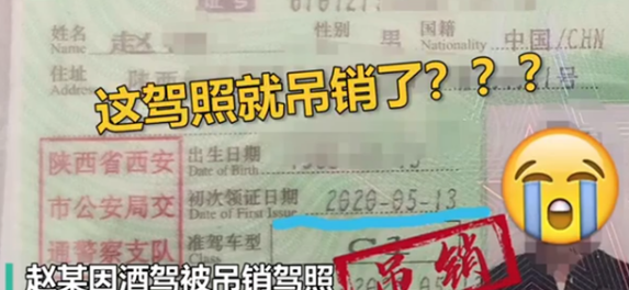 史上最短命駕照是什么梗？酒駕的危害有哪些？