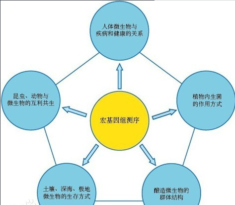 微生物基因組研究有什么作用？微生物基因組研究是什么時(shí)候開(kāi)始的？