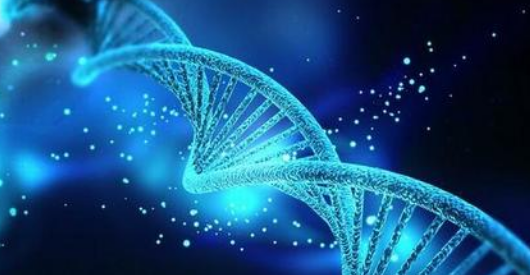 神奇的“基因剪刀”定義是什么？CRISPR-Cas9的優(yōu)勢(shì)有哪些？