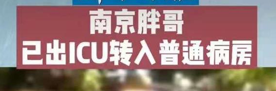 南京胖哥見義勇為是怎么回事？南京胖哥是做什么工作的?南京胖哥見義勇為事件詳情始末回顧