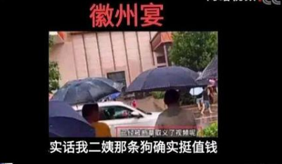 央視還原“徽州宴”事件全過程始末介紹  蚌埠徽州宴老板娘叫什么名字個(gè)人資料簡介