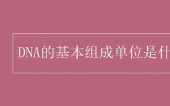 DNA的基本組成單位 基因科普知識