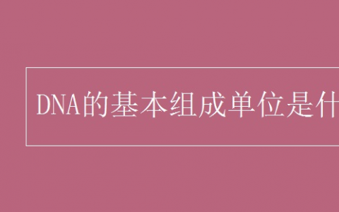 DNA的基本組成單位 基因科普知識