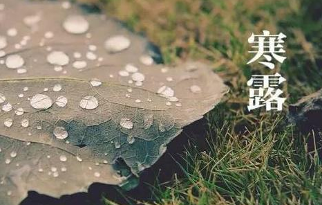 2021寒露節(jié)氣應該吃什么傳統(tǒng)食物？一場秋雨一場寒的祝福語朋友圈文案說說