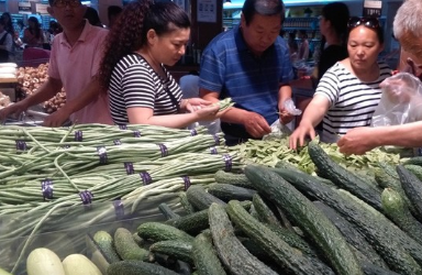 蔬菜價(jià)格怎么樣漲價(jià)的原因是什么？10月蔬菜價(jià)格為什么上漲？