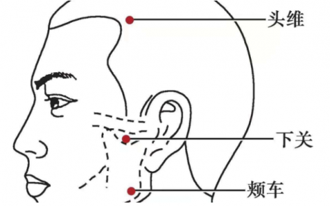 人身上到底有多少個(gè)穴位?穴位能隨便按嗎對(duì)身體有什么好處