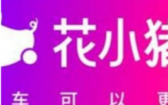 花小豬和滴滴是一個平臺的嗎什么關(guān)系？花小豬和滴滴可以同時開著接單嗎?